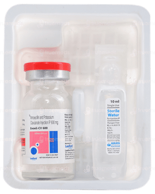 Evoxil Cv 600 Injection 1